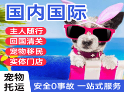 喀什机场空运国际宠物托运 【国